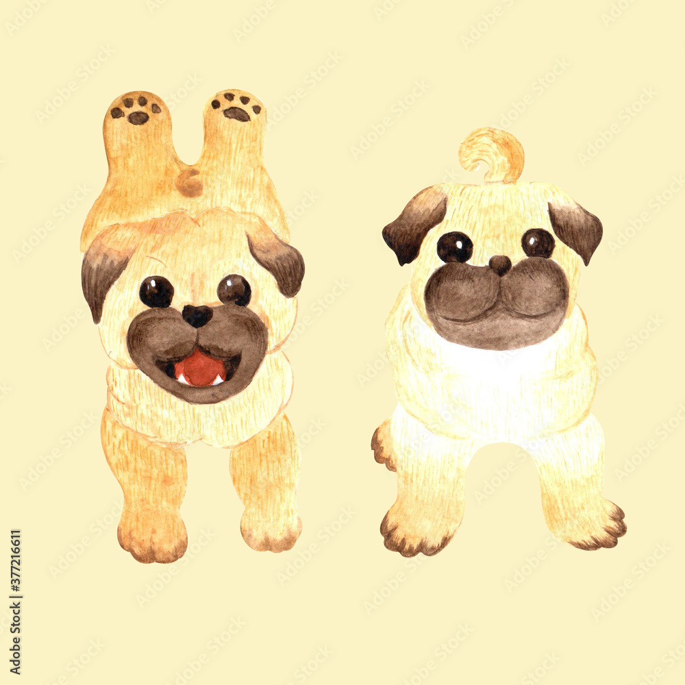 Fototapeta premium Cute pug puppy. Watercolor set