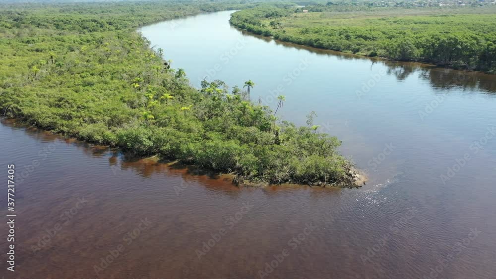 Aerial view of dark river in Pantanal. Summer scene of dark river. Top