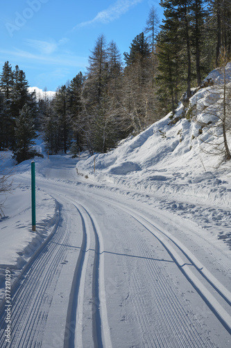 Cross-country ski run on Roseg valley, Upper-Engadine valley, Grisons, Graubunden, Switzerland