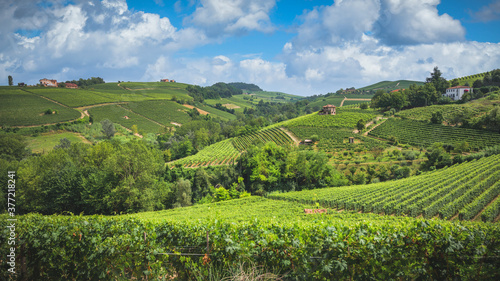 Langhe vineyards panorama, near Barolo, Unesco Site, Piedmont, Northern Italy Europe