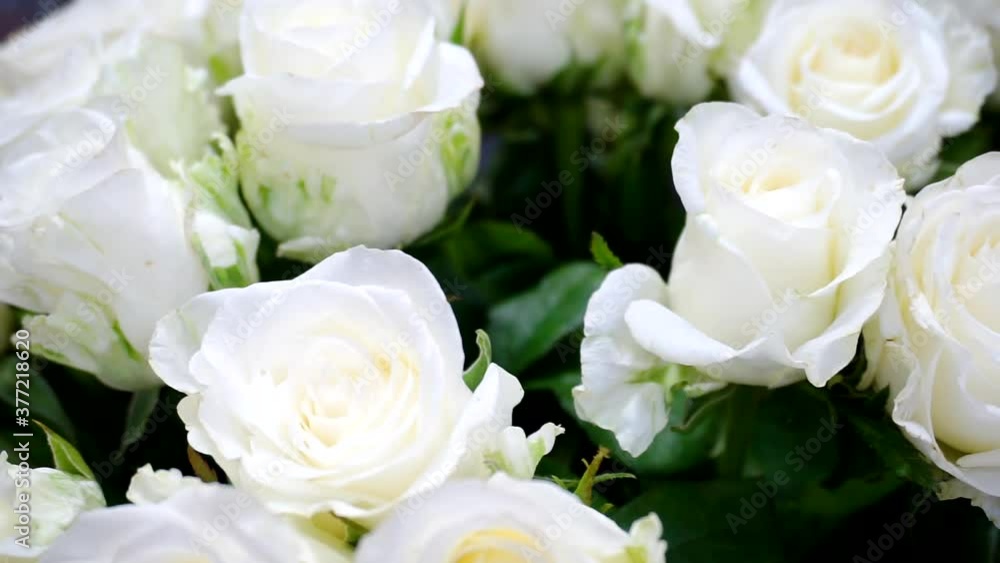 bouquet of beautiful roses close up. shallow depth of field. bouquet of beautiful roses close up. shallow depth of field.