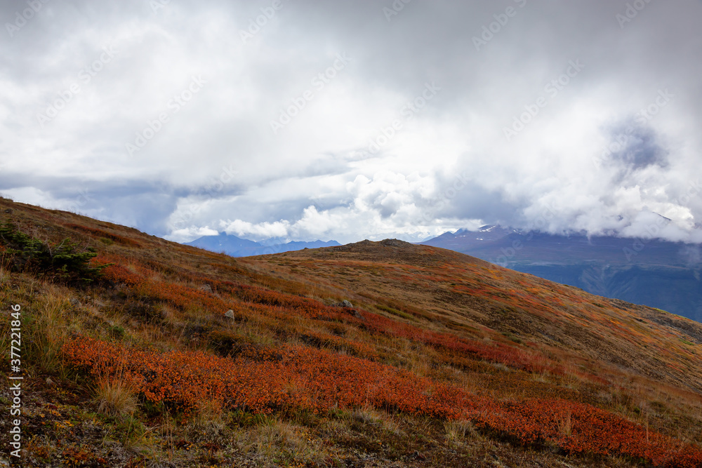 Colorful meadow fields on top of Nares Mountain during fall season. Located in Carcross, near Whitehorse, Yukon, Canada. Colorful meadow fields on top of Nares Mountain during fall season. Located in Carcross, near Whitehorse, Yukon, Canada.