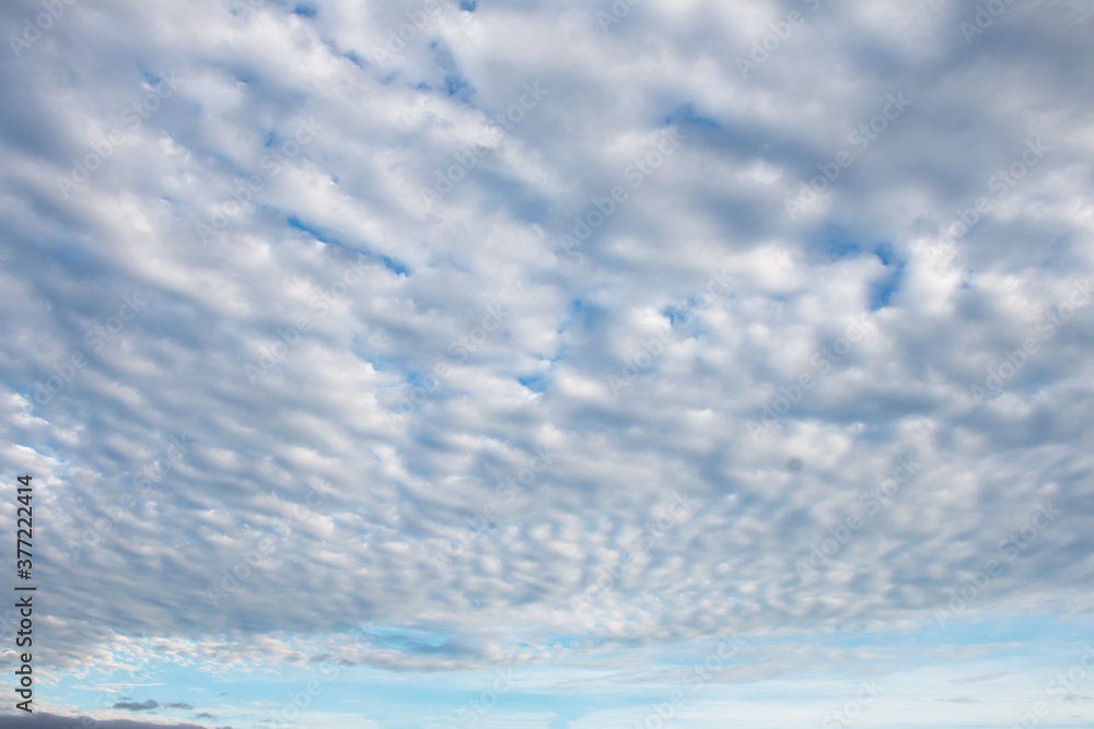 Group of cloud in the sky