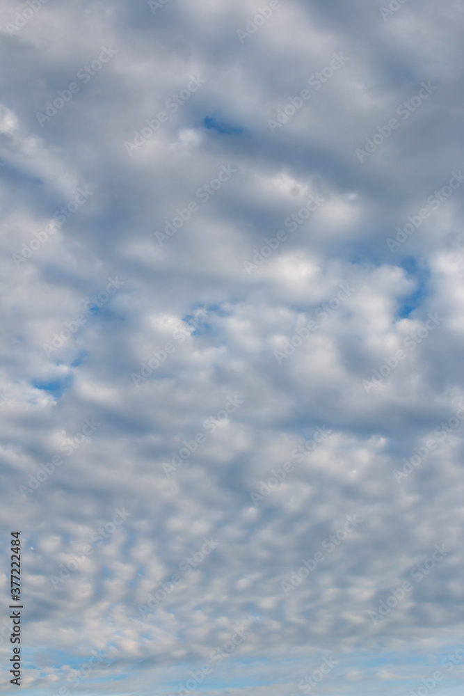 Group of cloud in the sky