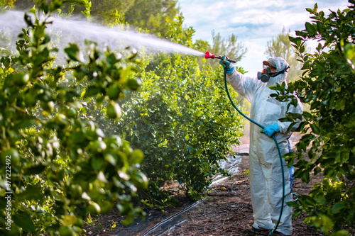 Farmer in protective clothes spray pesticides. Farm worker spray pesticide insecticide on fruit lemon trees. Ecological insecticides