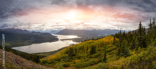 Panoramic View of Colorful meadow fields on top of Nares Mountain during fall season. Located in Carcross, near Whitehorse, Yukon, Canada. Nature Background Panorama