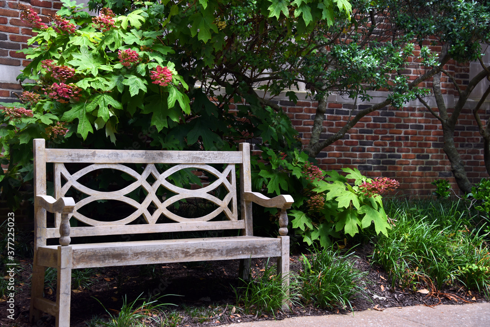 Bench Outside of Second Presbyterian Church Memphis Bench Outside of Second Presbyterian Church Memphis