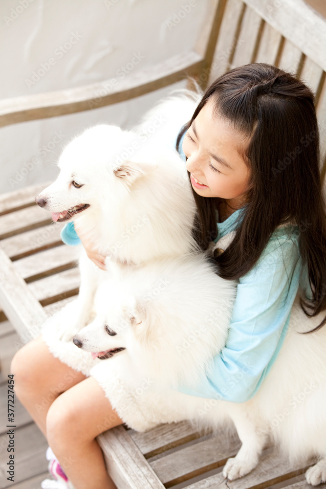 仲良しの女の子と飼い犬 仲良しの女の子と飼い犬