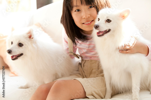 スピッツ犬と笑顔の女の子 © Paylessimages