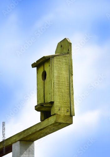 Green Wooden Birdhouse With Single Opening