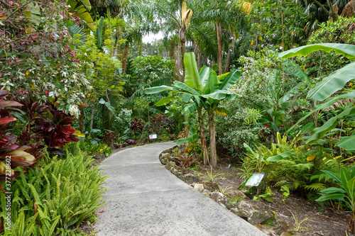 The sidewalk through a garden at a botanical garden