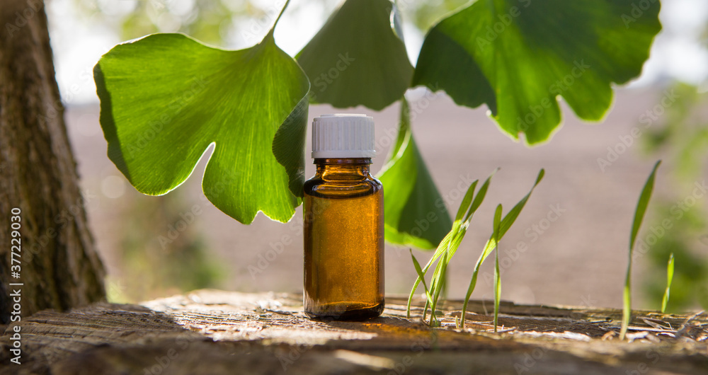 Ginkgo biloba essential oil, leaves and medicine bottles. Ginkgo biloba essential oil, leaves and medicine bottles.