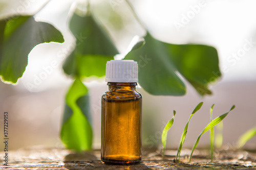 Ginkgo Biloba leaf and bottle.The concept of natural ingredients in cosmetics.