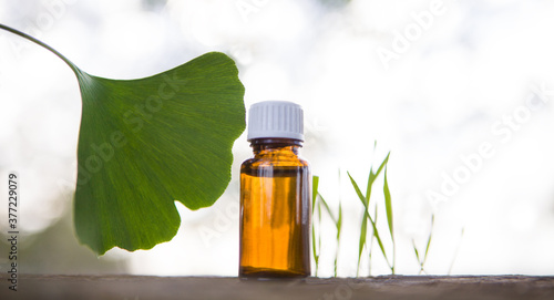 Ginkgo essential oil - banner, copy spece for text.