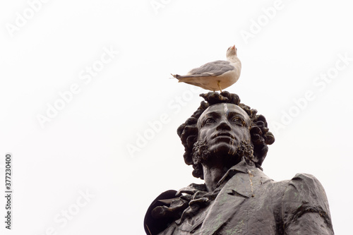 Seagull sits on the head of the monument to Alexander Pushkin on the square in front of the Russian Museum in St. Petersburg, Russia