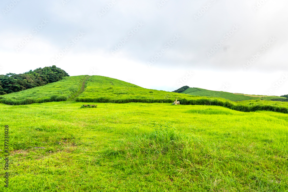 長崎県平戸市 川内峠の夏の風景 長崎県平戸市 川内峠の夏の風景