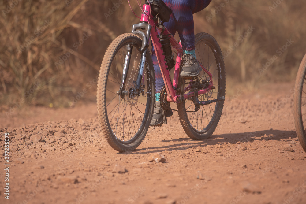 Fototapeta premium bike