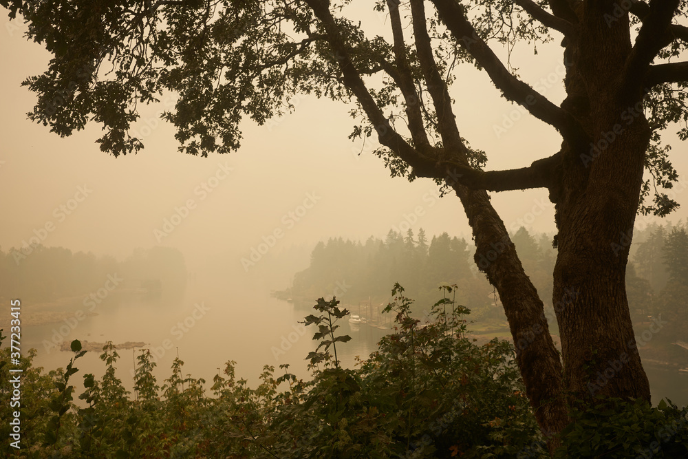 The Willamette River seen from Lake Oswego at noon during the Oregon wildfires in 2020. The Willamette River seen from Lake Oswego at noon during the Oregon wildfires in 2020.