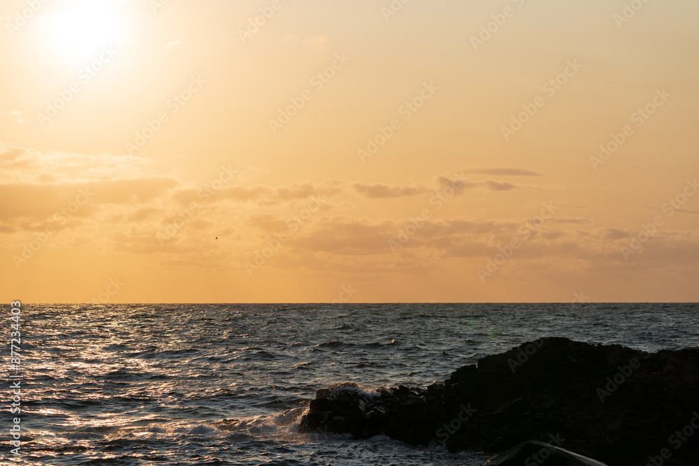 Golden hour close to sunset over the sea at Kullaberg nature reserve in south Sweden. Nature background.