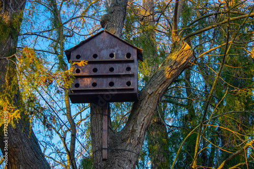 bird house, nesting box on tree
