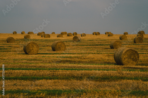 bales of straw