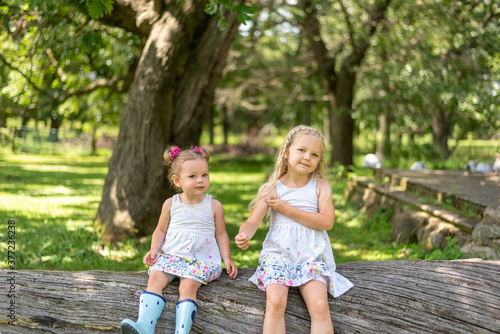 Two cute little girls sitting on a log in the countryside