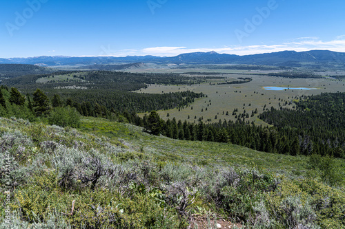 Bridger Teton National Forest Range, Wyoming photo