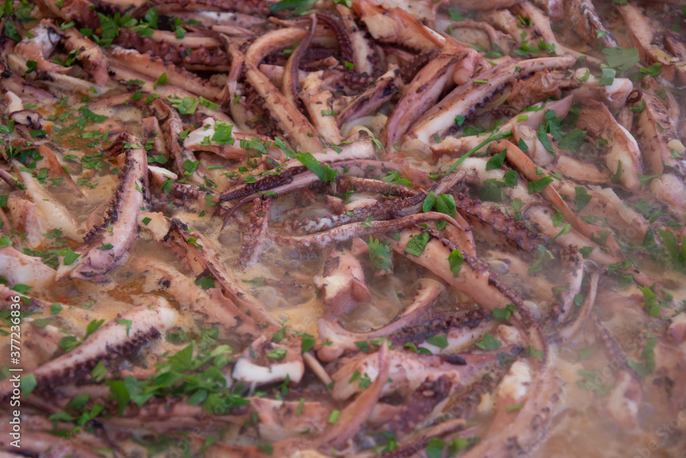 tentacles calamari octopus in Bistrita,Romania 2020 tentacles calamari octopus in Bistrita,Romania 2020