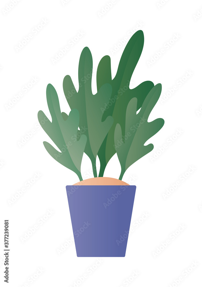 Isolated plant inside pot vector design Isolated plant inside pot vector design