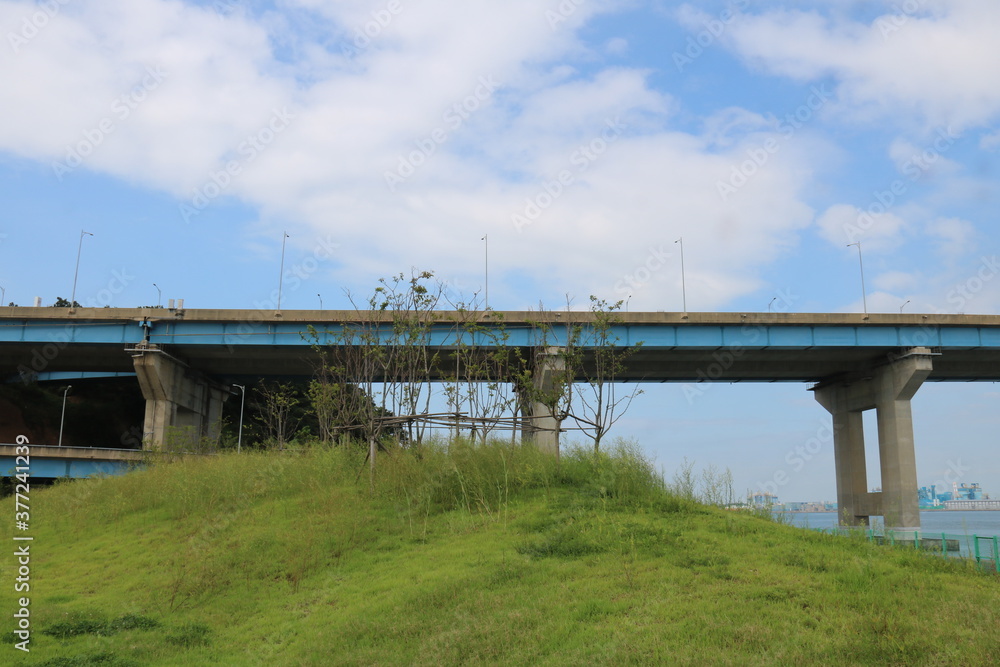 bridge over the river