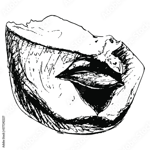 Lips of queen Tiye, mother of pharaoh Akhenaten. Broken head of ancient Egyptian sculpture from Amarna. Hand drawn linear sketch. Black silhouette on white background.
