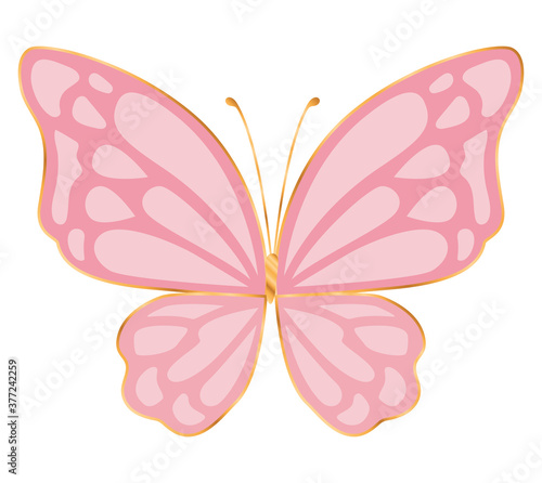 cute pink butterfly vector design