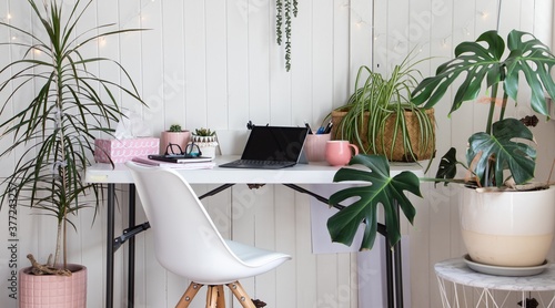 working from home office with potted plants in white interior room