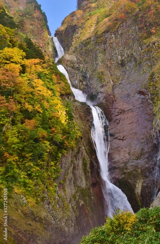 立山 称名滝 秋景色