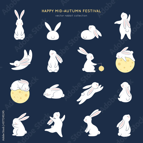 Happy rabbit set. Mid-autumn festival elements. Flat bunny collection