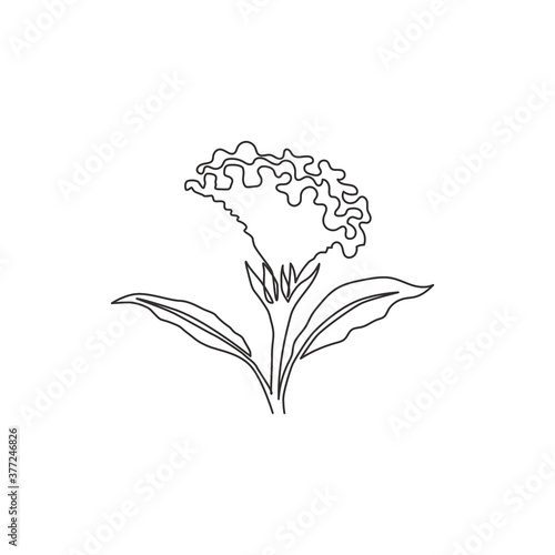 One continuous line drawing of beauty fresh brain celosia for home decor wall art print poster. Printable decorative cockscomb flower for green park. Modern single line draw design vector illustration