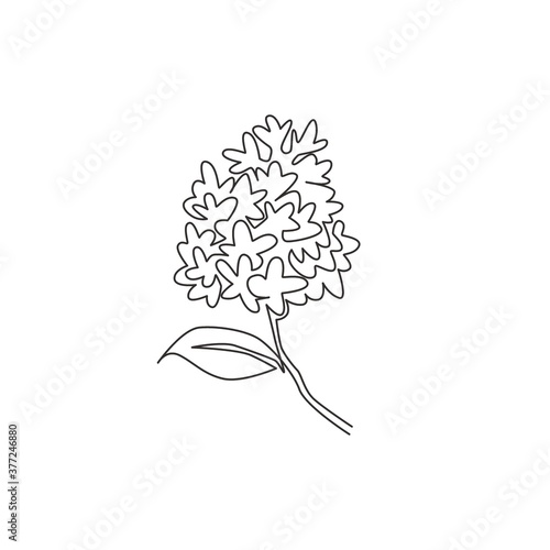 One continuous line drawing beauty fresh syringa vulgaris for garden logo. Printable decorative lilac flower concept for home decor wall art poster print. Single line draw design vector illustration