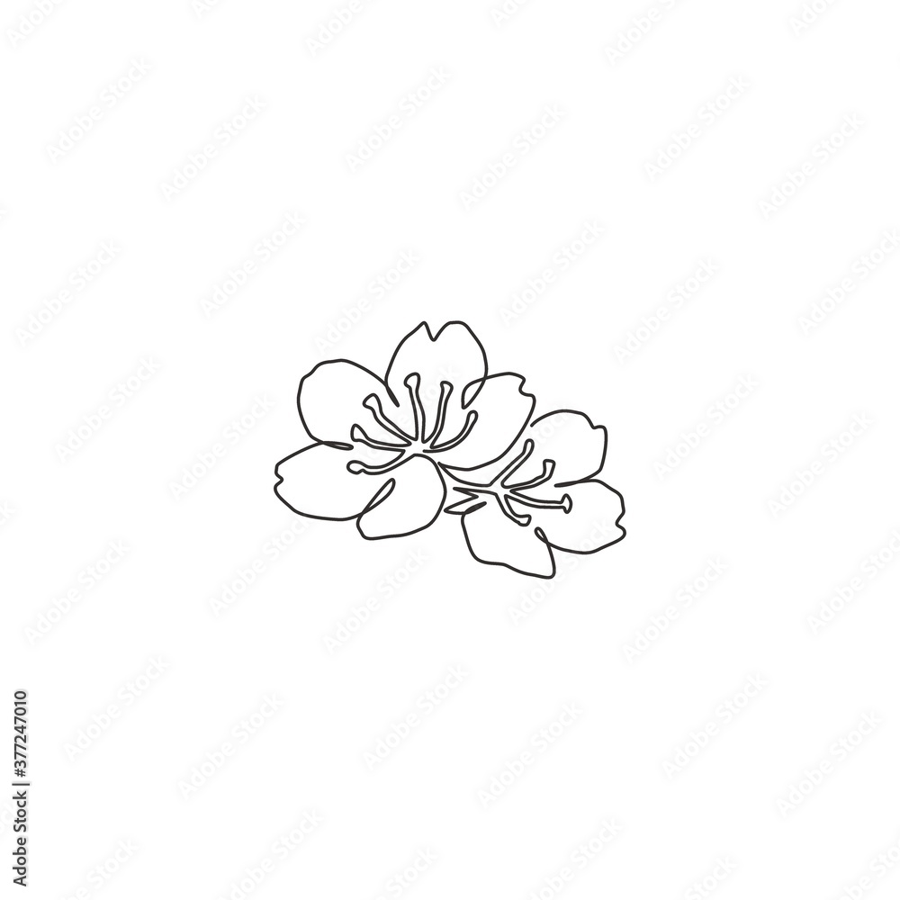 Single continuous line drawing of beauty fresh cherry blossom for home decor wall art poster print. Printable decorative sakura flower for greeting card. One line draw design vector illustration Single continuous line drawing of beauty fresh cherry blossom for home decor wall art poster print. Printable decorative sakura flower for greeting card. One line draw design vector illustration