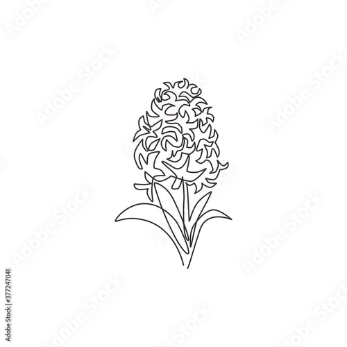 One single line drawing of beauty fresh hyacinthus for garden logo. Printable decorative hyacinth flower for home decor wall art poster print. Modern continuous line draw design vector illustration