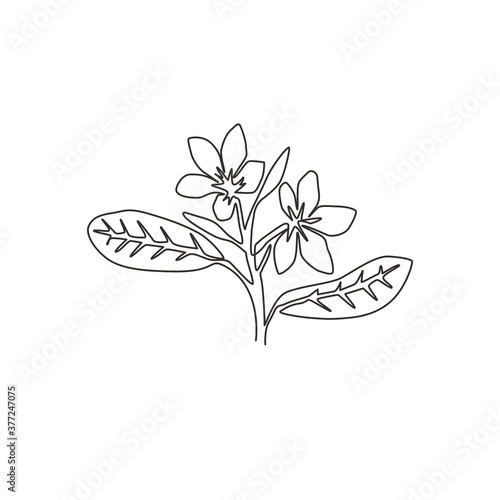 One continuous line drawing beauty fresh plumeria for wall home decor art print poster. Printable decorative frangipani flower for green park icon. Modern single line draw design vector illustration