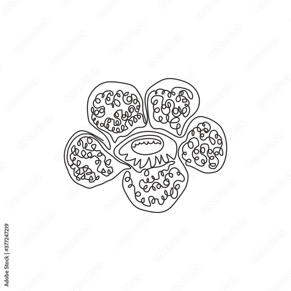 Single one line drawing beauty of fresh corpse lily for home wall art decor poster print. Decorative rafflesia arnoldii flower for national park. Modern continuous line draw design vector illustration Single one line drawing beauty of fresh corpse lily for home wall art decor poster print. Decorative rafflesia arnoldii flower for national park. Modern continuous line draw design vector illustration