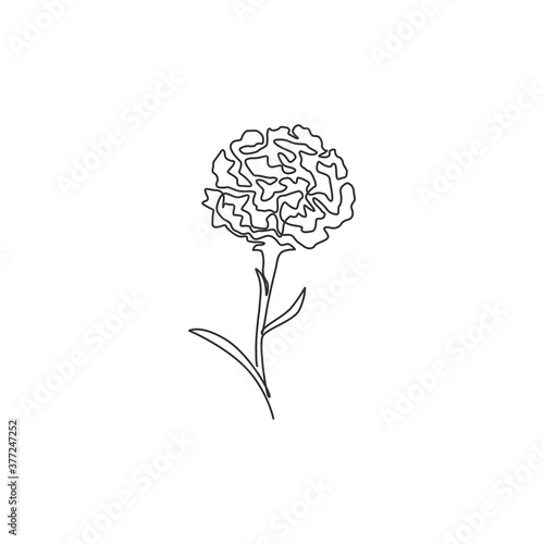 One continuous line drawing beauty fresh carnation for home wall art decor print poster. Decorative dianthus caryophyllus flower for invitation card. Trendy single line draw design vector illustration