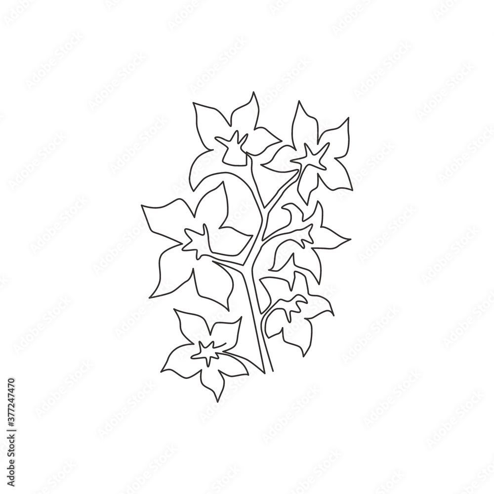 Obraz premium Single continuous line drawing beauty fresh larkspur for home decor wall art print poster. Decorative consolida perennial flower for invitation card. Modern one line draw design vector illustration