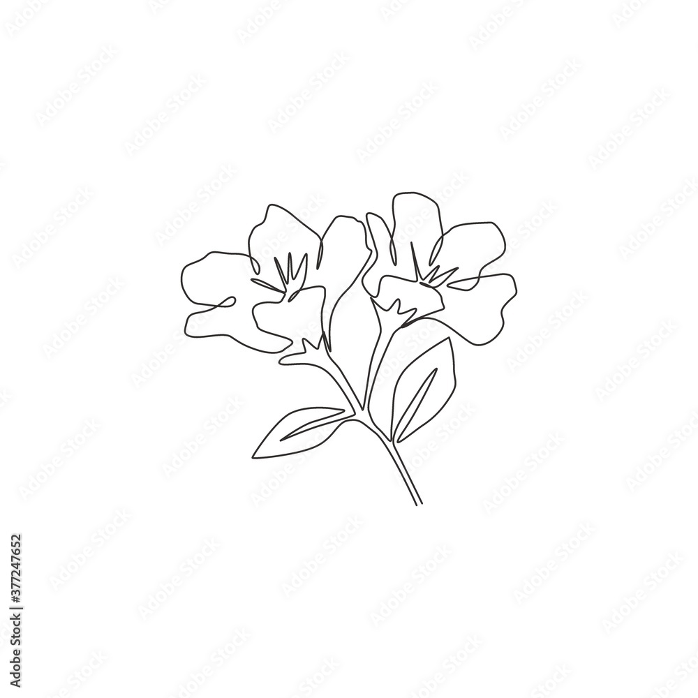 Single one line drawing of beauty fresh anemone flower for garden logo. Decorative perennial windflower for home wall decor poster print art. Modern continuous line draw design vector illustration