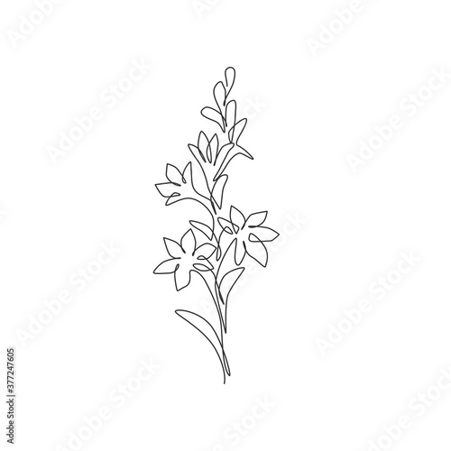 One continuous line drawing beauty fresh polianthes tuberosa for home decor art wall poster print. Decorative tuberose flower concept for invitation card. Single line draw design vector illustration