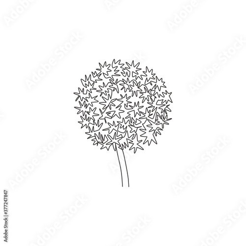 One continuous line drawing beauty fresh allium globemaster for home art wall decor poster print. Decorative giant onion flower concept for greeting card. Single line draw design vector illustration