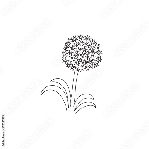 Single continuous line drawing beauty fresh allium giganteum for home decor wall art poster print. Decorative globemaster flower for floral card frame. Modern one line draw design vector illustration