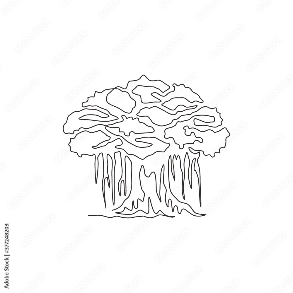 Fototapeta premium Single continuous line drawing of shady and leafy banyan tree. Decorative ficus benghalensis plant concept for wall decor home art poster print. Modern one line draw design vector graphic illustration