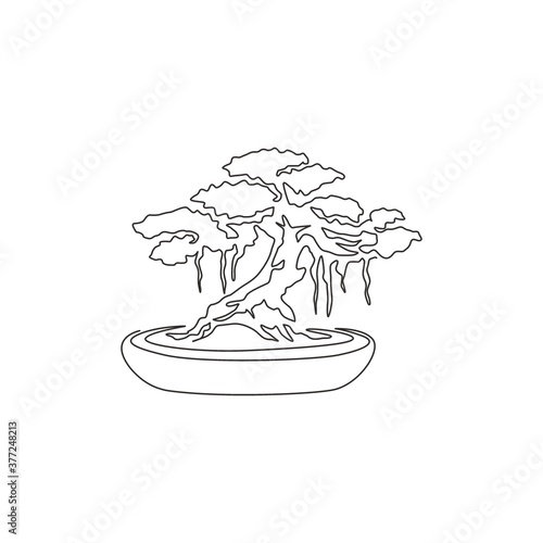 Single continuous line drawing of beautiful and exotic Japan bonsai tree. Decorative old small banyan tree concept for home decor wall art poster print. Modern one line draw design vector illustration