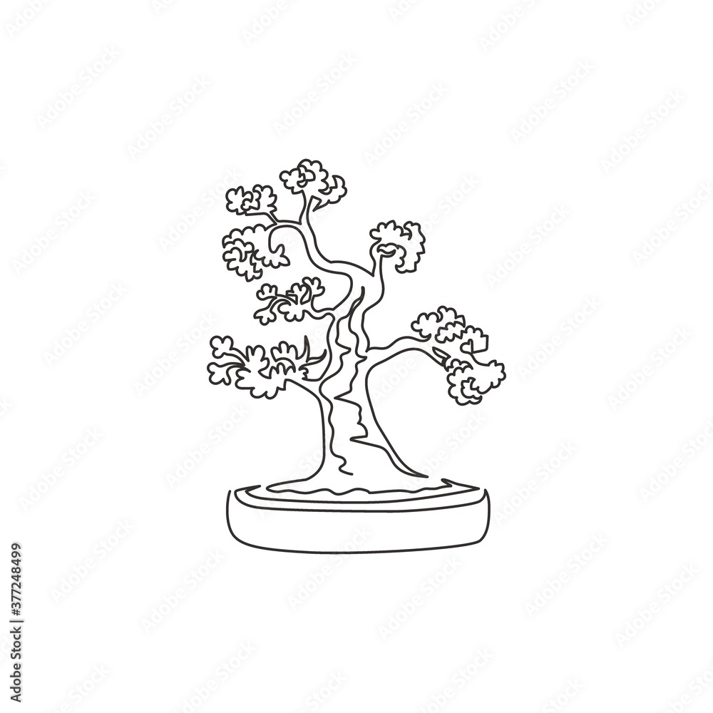 Single continuous line drawing of old beauty and charming exotic tiny bonsai tree. Decorative potted bend plant for greeting post card plant edition. Modern one line draw design vector illustration Single continuous line drawing of old beauty and charming exotic tiny bonsai tree. Decorative potted bend plant for greeting post card plant edition. Modern one line draw design vector illustration
